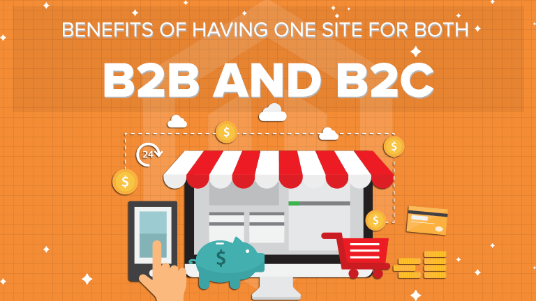 one site for both B2B and B2C